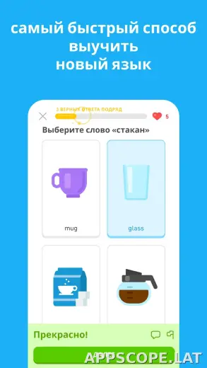 Дуолинго скриншот 5
