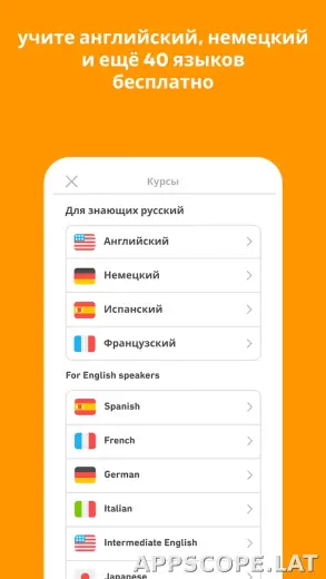 Дуолинго скриншот 6