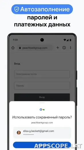 Google Chrome скриншот 6